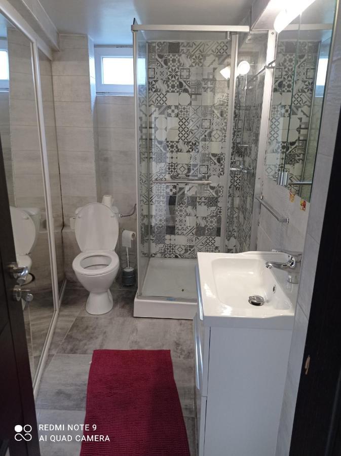 Casa Vladimirescu Hotel โดรเบตา-ตูร์นู เซเวริน ภายนอก รูปภาพ
