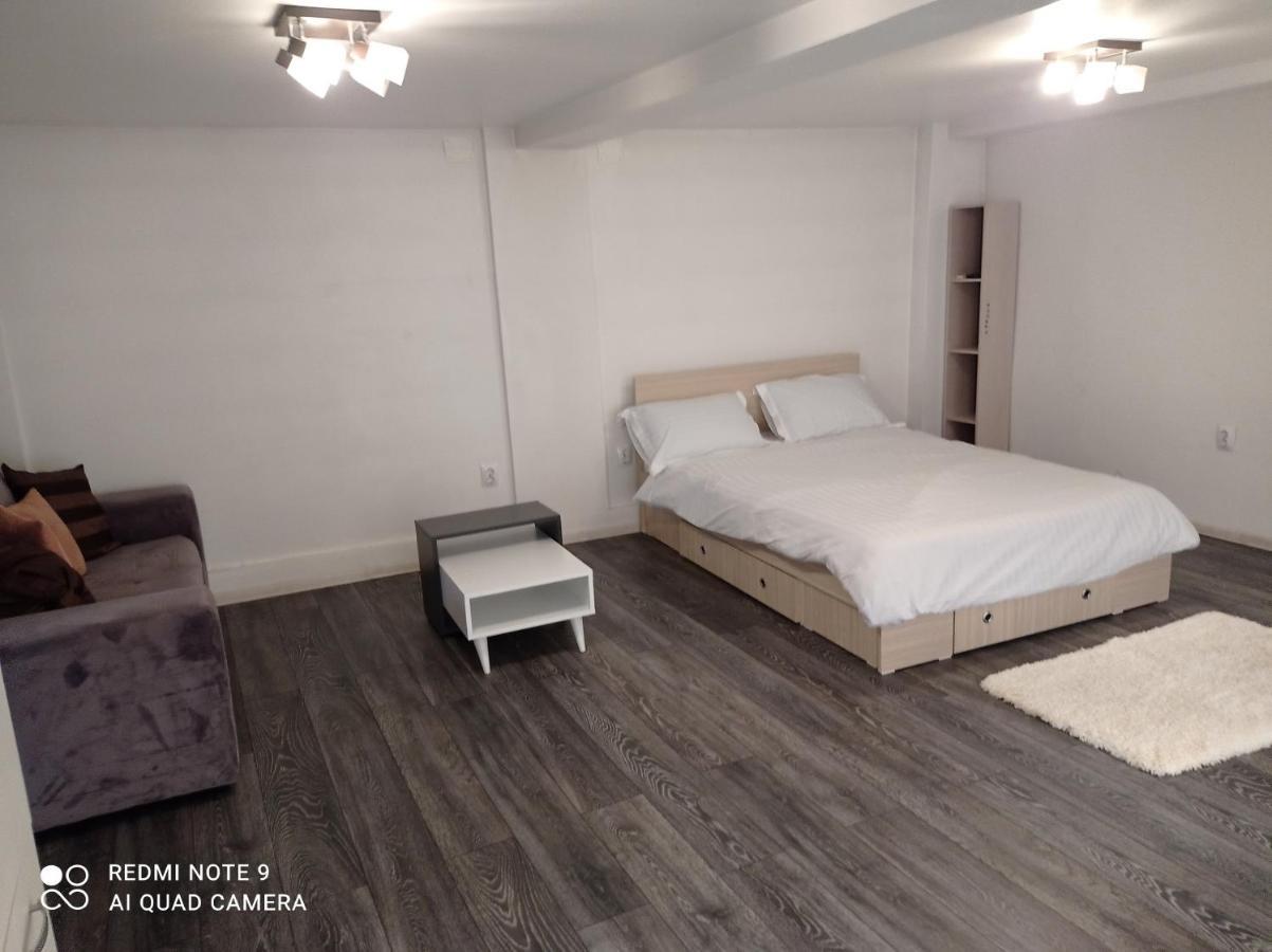 Casa Vladimirescu Hotel โดรเบตา-ตูร์นู เซเวริน ภายนอก รูปภาพ